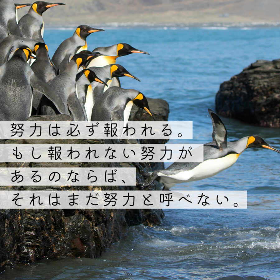 王貞治の名言に学ぶ仕事のヒント|目標を明確して適切な計画を立て、集中して努力する