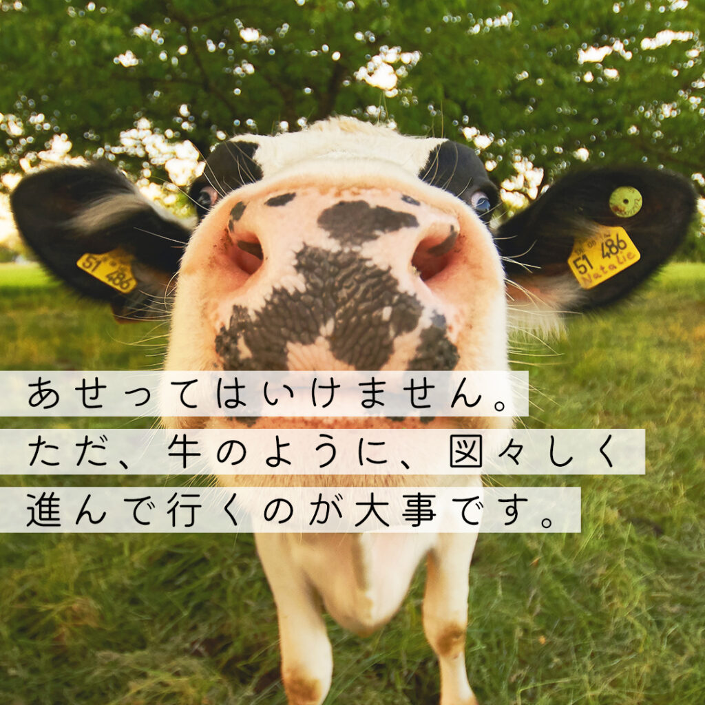 名言・格言に学ぶ仕事のヒント｜あせってはいけません。ただ、牛のように、図々しく進んで行くのが大事です。｜夏目 漱石